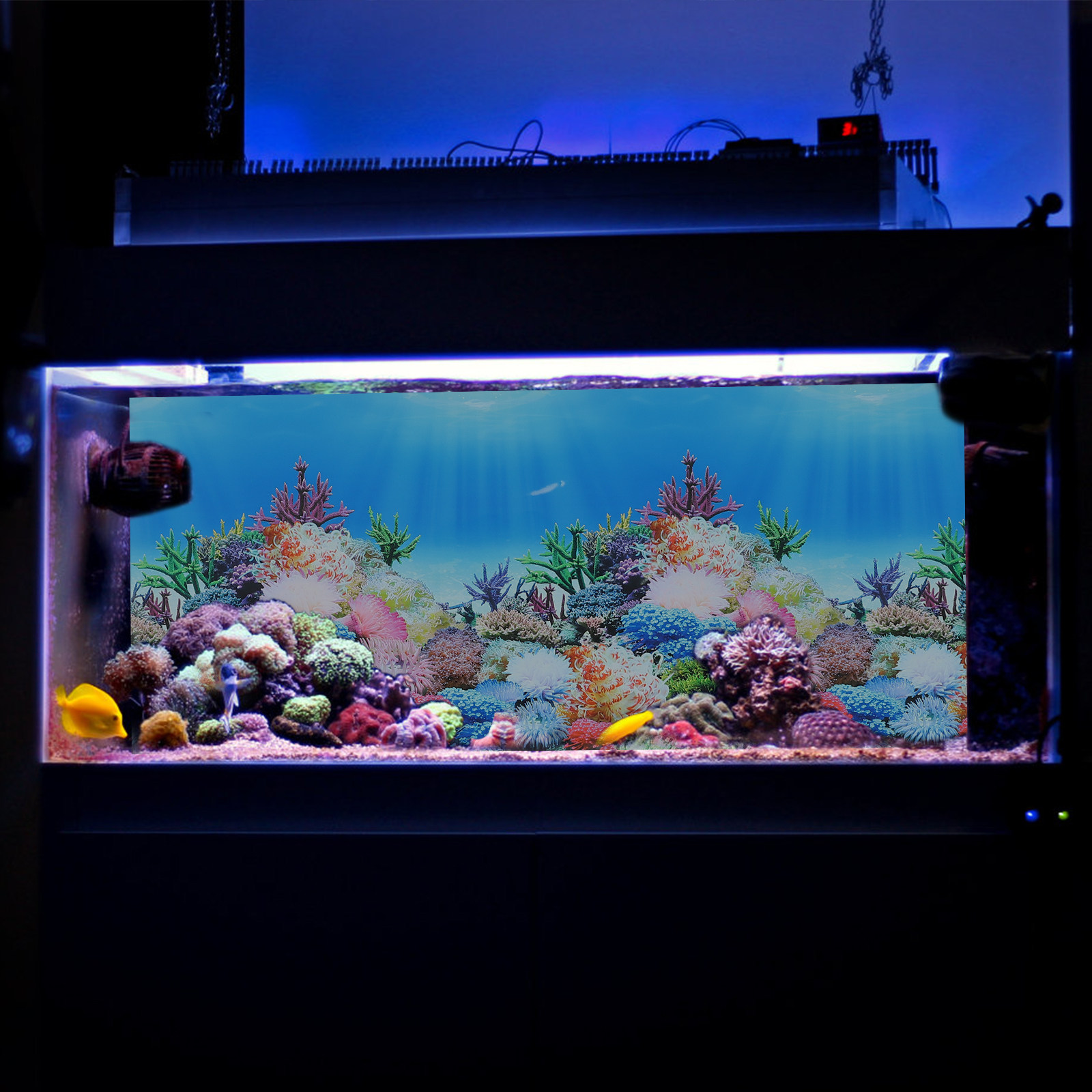 Fish In Aquarium Picture - Fish Tank Aquarium Decor Backgrounds Paper