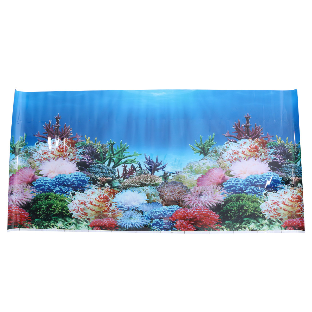 3 D Wallpaper Aquarium Picture - Fish In Aquarium Picture review and price