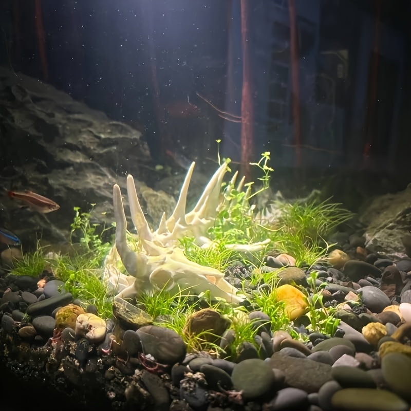 1pc Dragon-Shaped Fishbone Dec - Aquarium Fish Dragon review and price