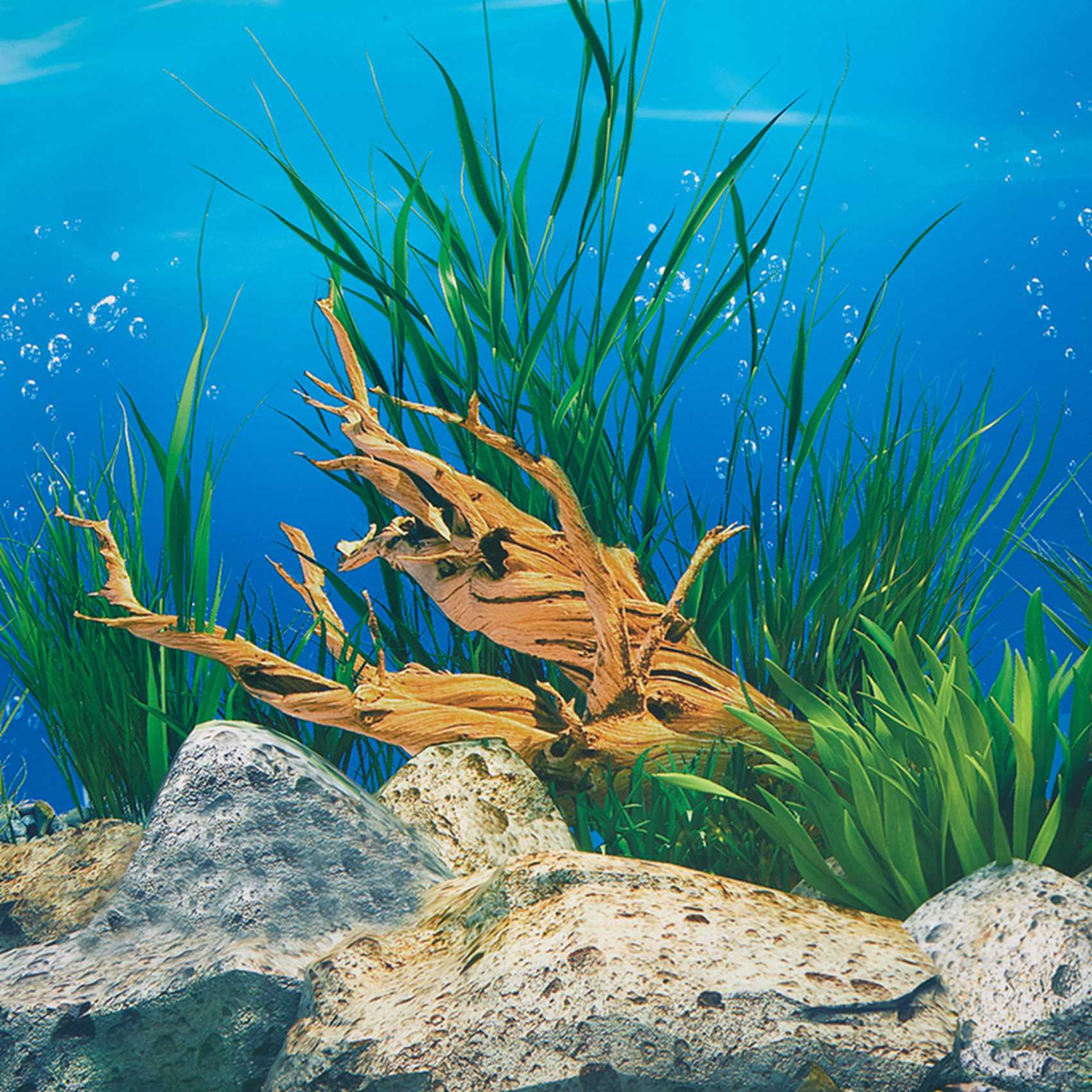 ABWR-Aquarium Background Paper - Fish In Aquarium Picture review and price