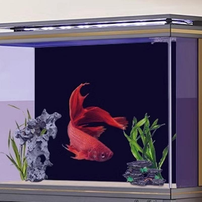 Black Aquarium Background Wall - Fish In Aquarium Picture review and price