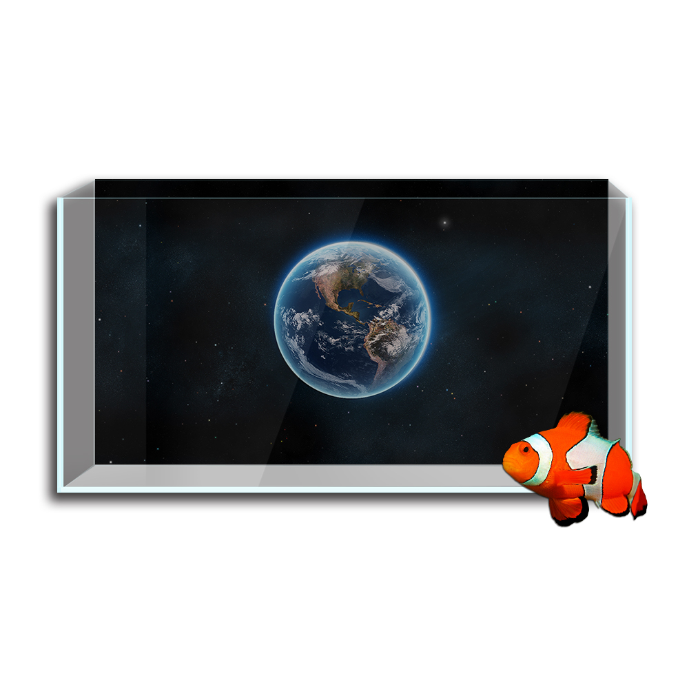 Aquarium Fish Tank  Background - Aquarium Fish Wallpaper review and price
