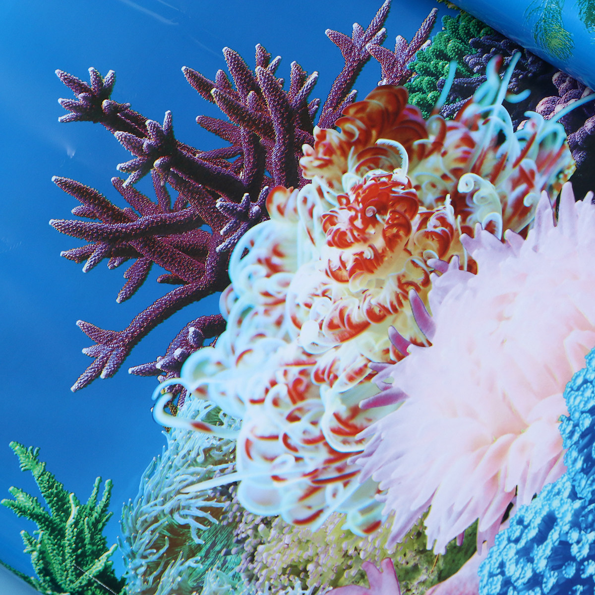3 D Wallpaper Backgrounds for  - Fish In Aquarium Picture review and price