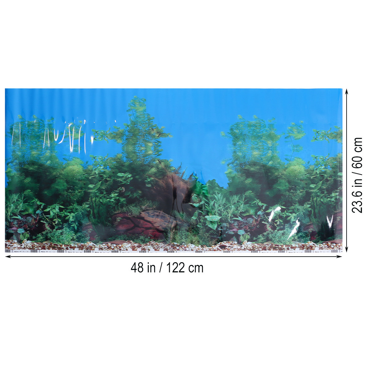 3 D Wallpaper Backgrounds for  - Fish In Aquarium Picture review and price