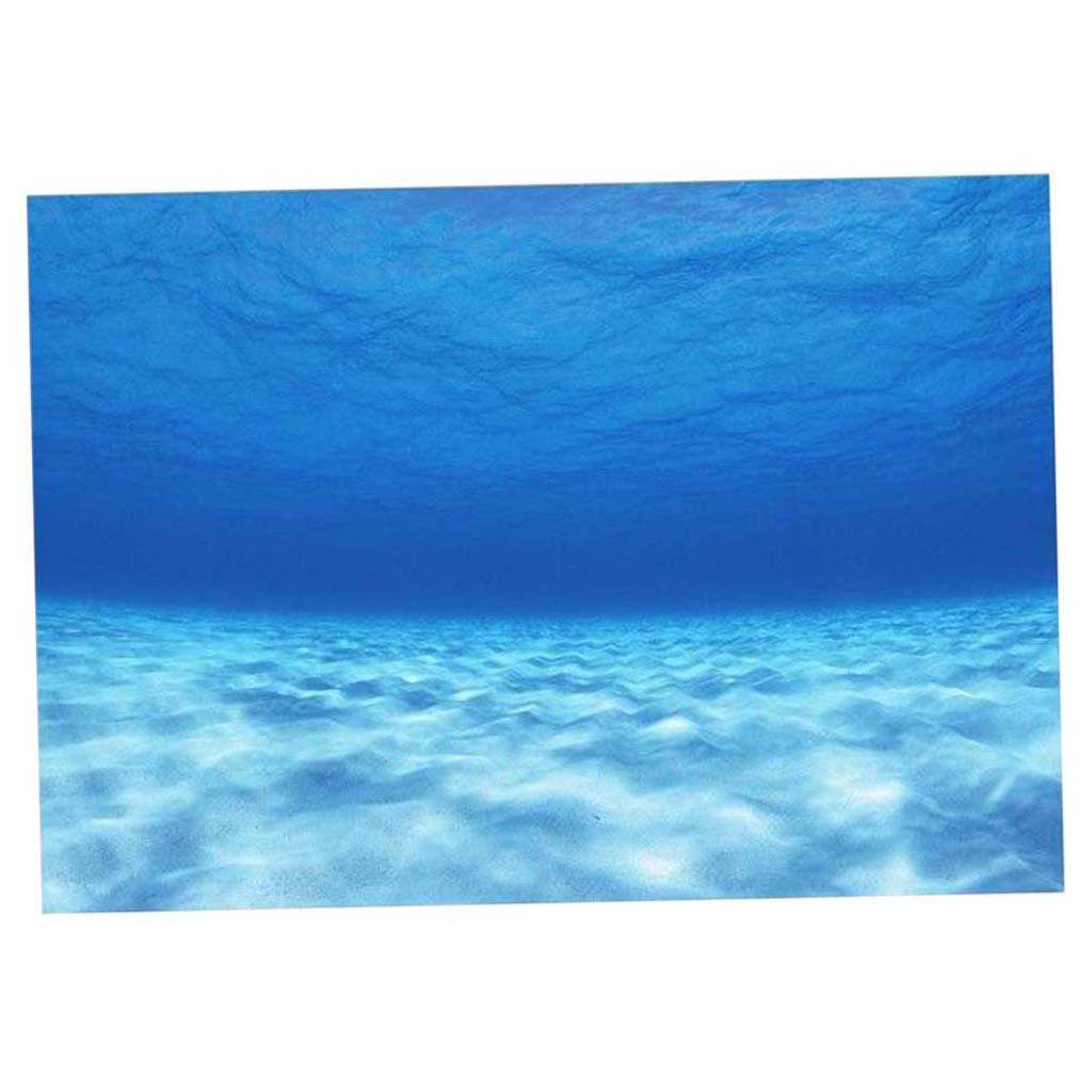 Aquarium Background Fish Tank  - Fish In Aquarium Picture review and price