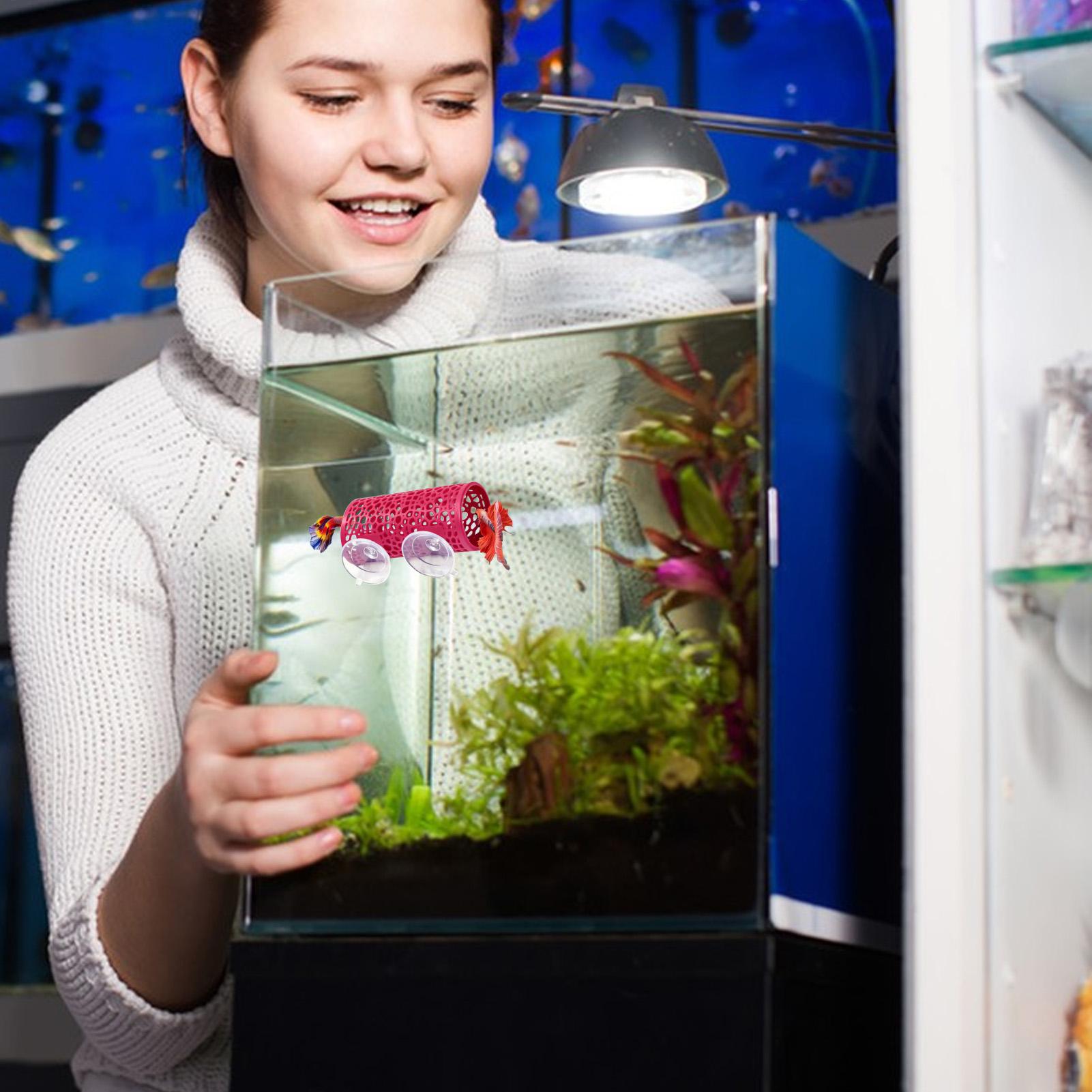 Betta Habitat Resting Shelter  - Aquarium Fish Small review and price