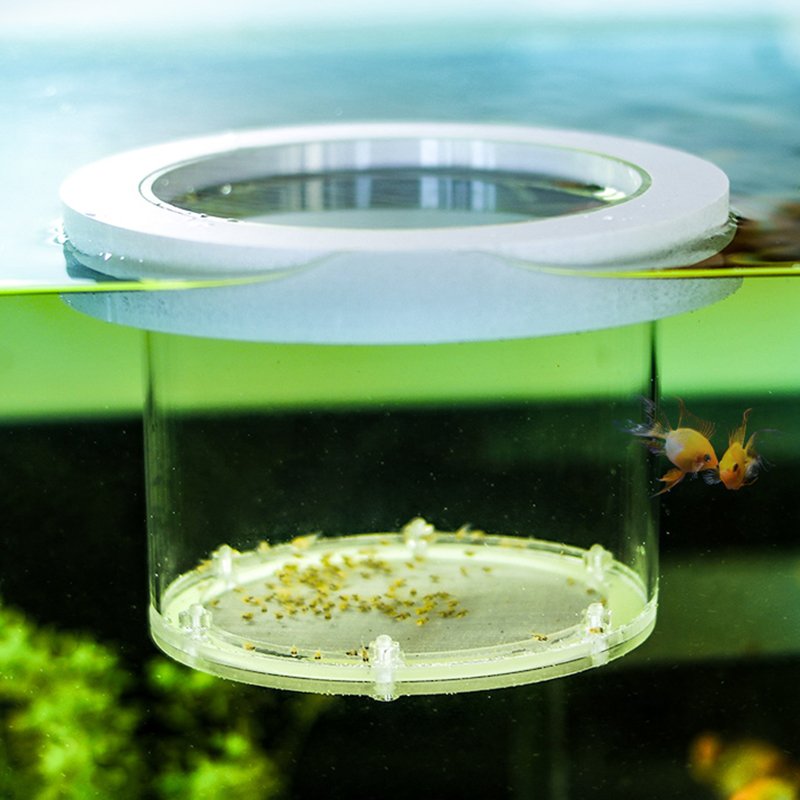 Suspended Fish Tank Breeding I - Aquarium Fish And Supplies review and price