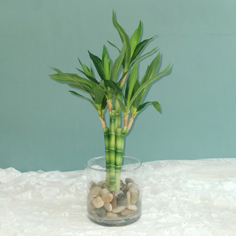 New 40cm rFtificial Lucky Bamb - Aquarium Fish To Buy review and price