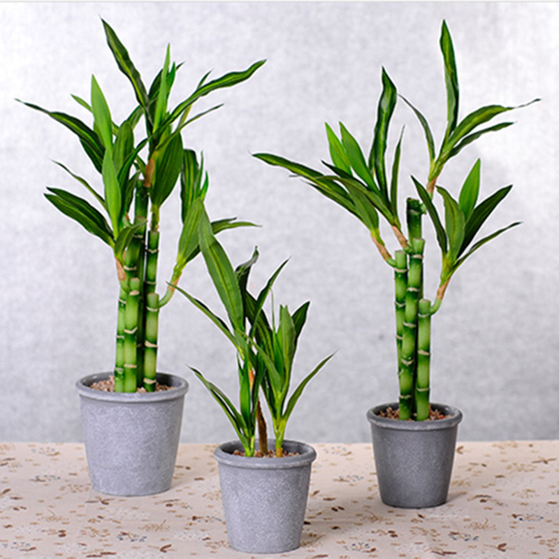 New 40cm rFtificial Lucky Bamb - Aquarium Fish To Buy review and price
