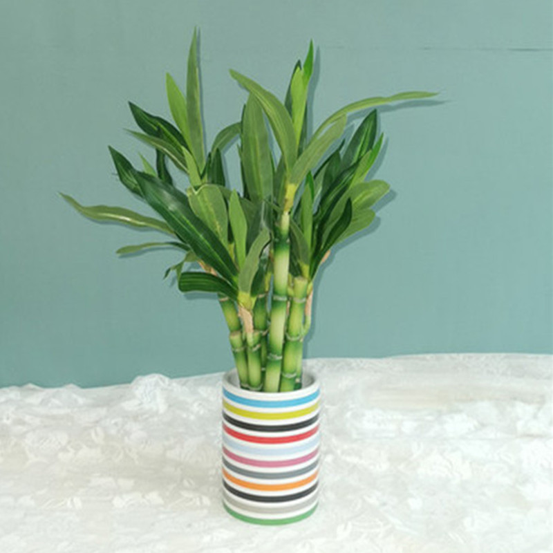 New 40cm rFtificial Lucky Bamb - Aquarium Fish To Buy review and price