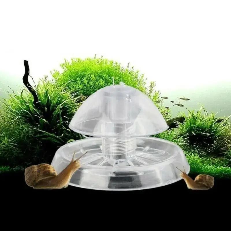 2026 New 6/8CM Clear Plastic S - Aquarium Fish And Supplies review and price