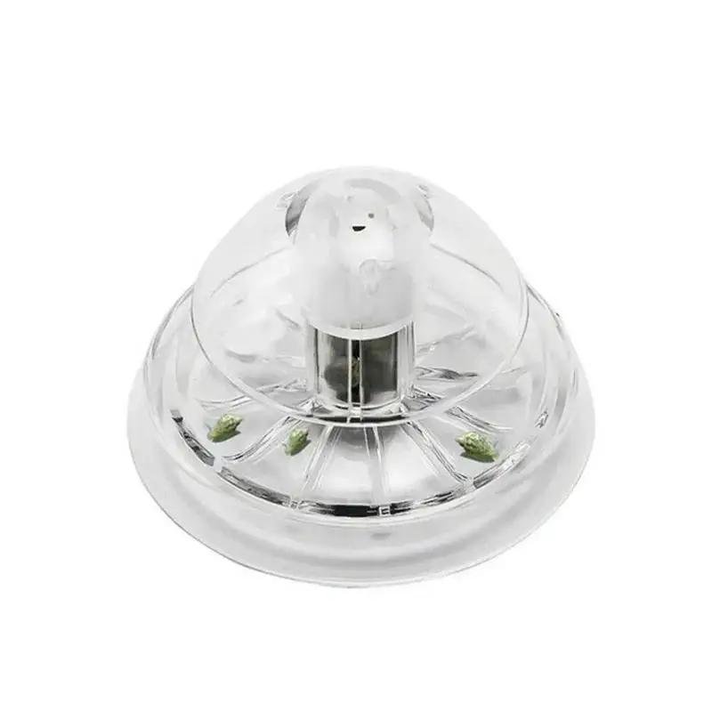 2026 New 6/8CM Clear Plastic S - Aquarium Fish And Supplies review and price