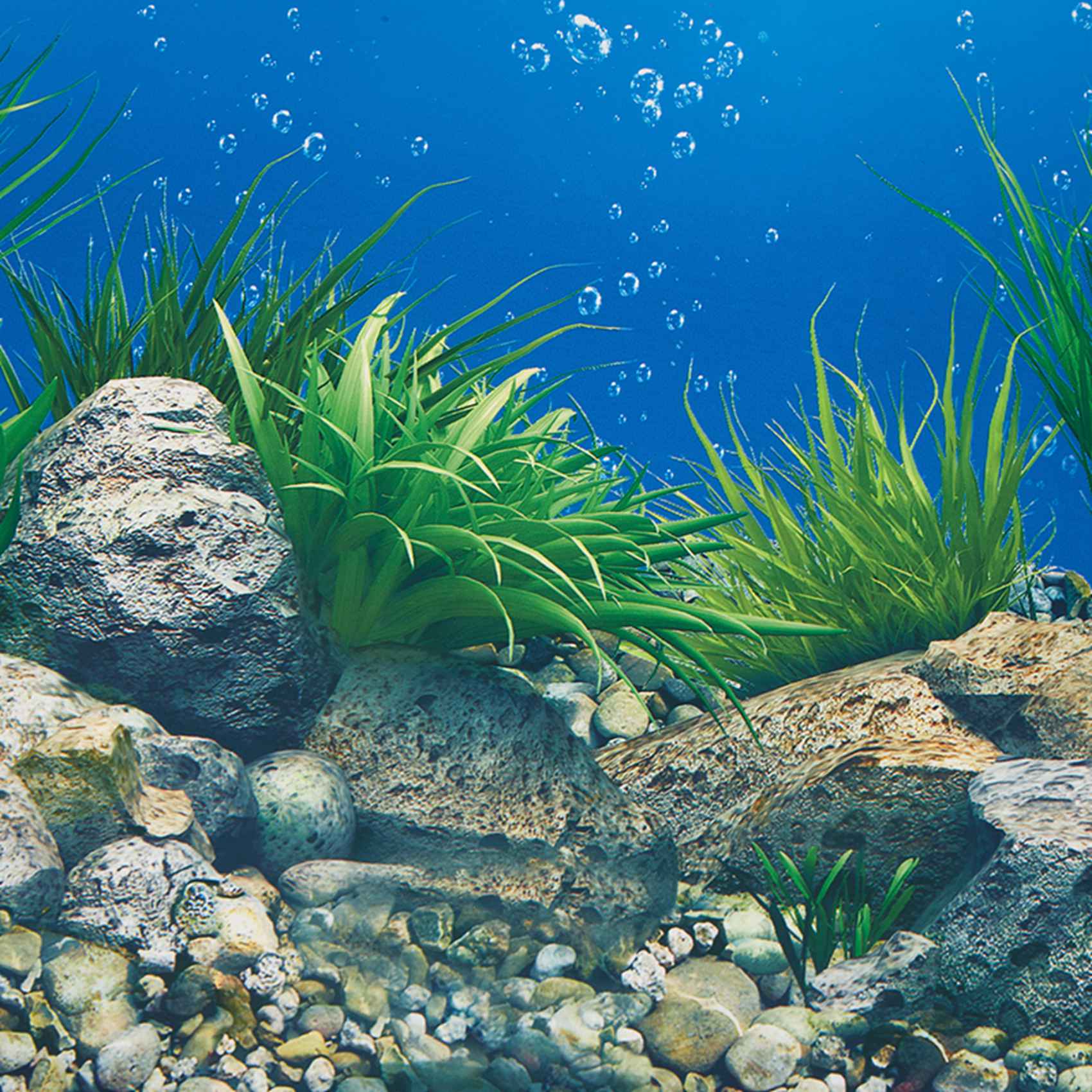 A77I Aquarium Background Paper - Fish In Aquarium Picture review and price