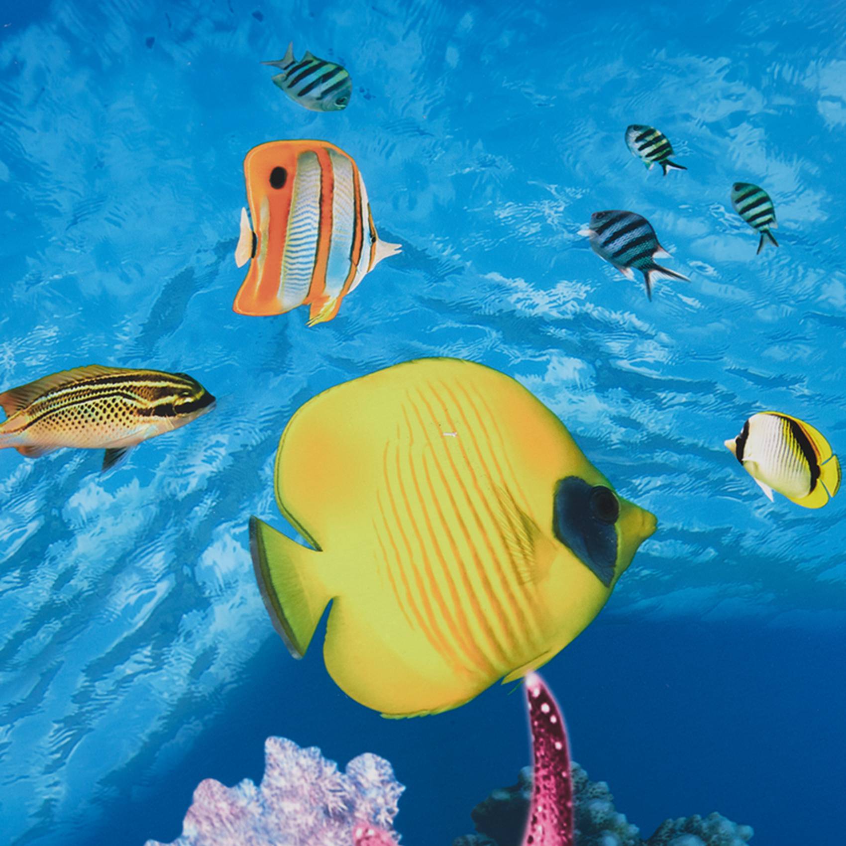 A77I Aquarium Background Paper - Fish In Aquarium Picture review and price
