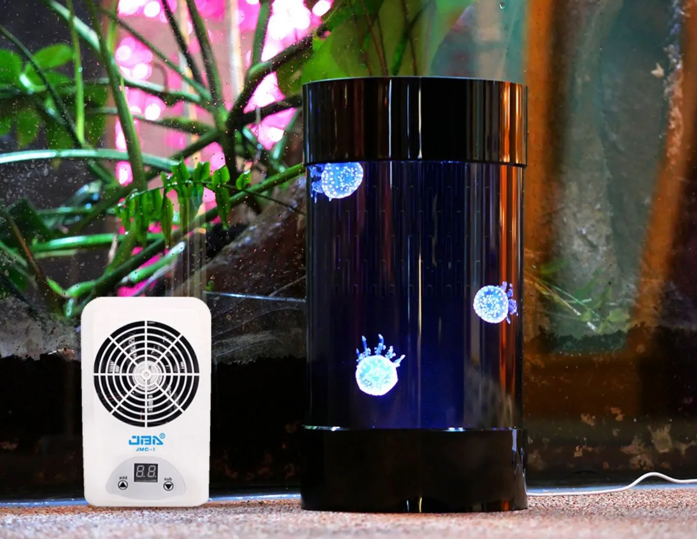 Best Amazon Sales Jellyfish Ta - Aquarium Fish In Amazon review and price