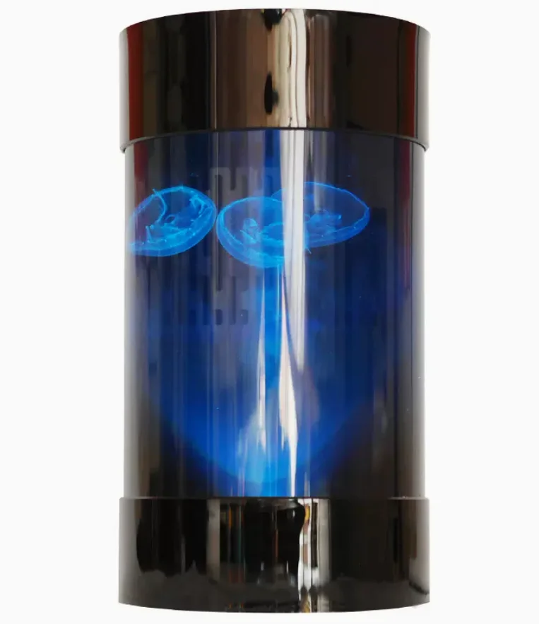 Best Amazon Sales Jellyfish Ta - Aquarium Fish In Amazon review and price