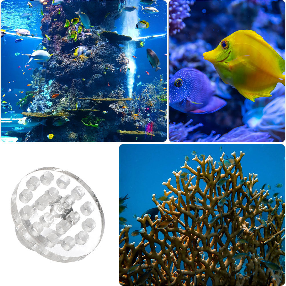 10Pcs Acrylic Coral Frag Rack  - Aquarium Fish And Supplies review and price