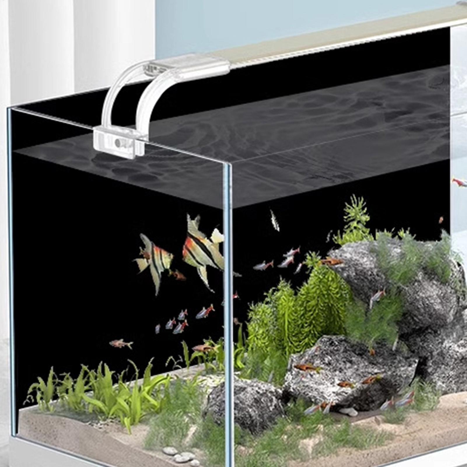 Fish Tank Background Static Cl - Aquarium Fish Wallpaper review and price
