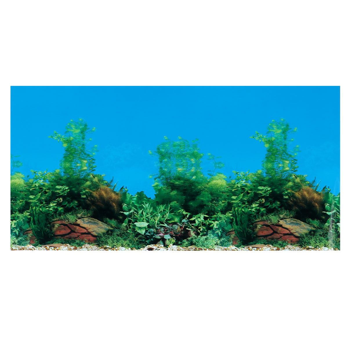 Aquarium Background Decal Doub - Aquarium Fish Wallpaper review and price