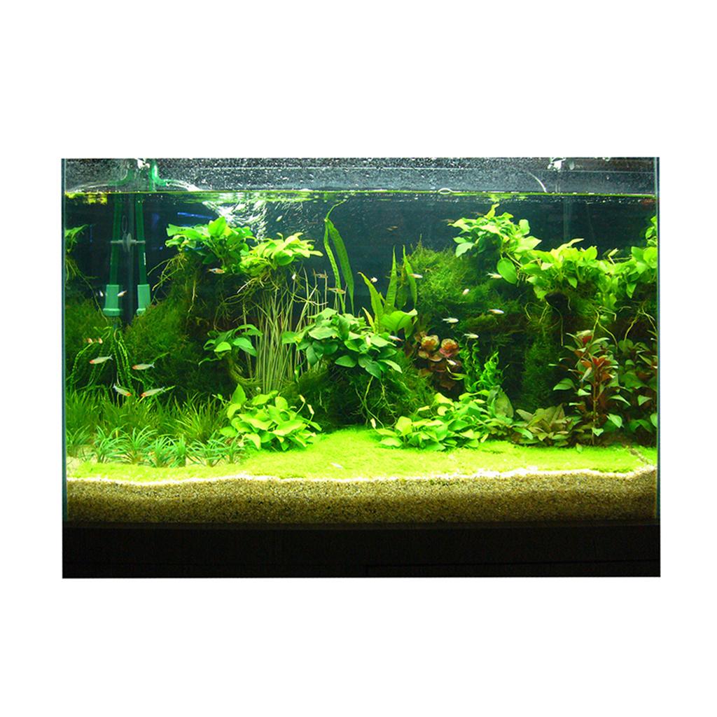 Fish Tank 3D Background Sticke - Fish In Aquarium Picture review and price