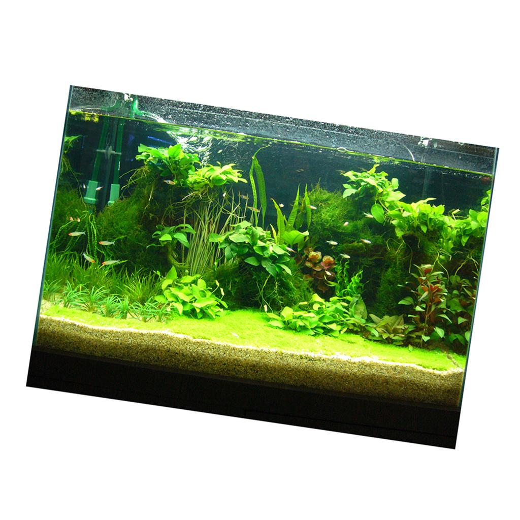 Fish Tank 3D Background Sticke - Fish In Aquarium Picture review and price