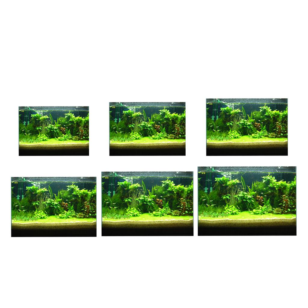 Fish Tank 3D Background Sticke - Fish In Aquarium Picture review and price
