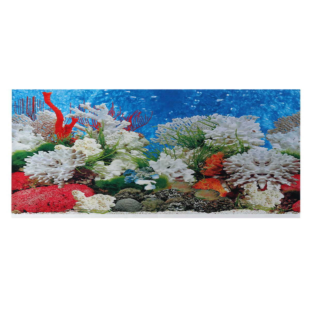 42 Cm Adhesive Wallpaper Aquar - Aquarium Fish Wallpaper review and price