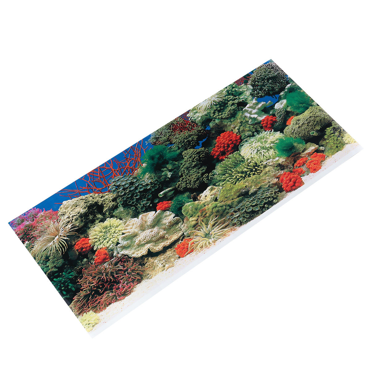 42 Cm Adhesive Wallpaper Aquar - Aquarium Fish Wallpaper review and price