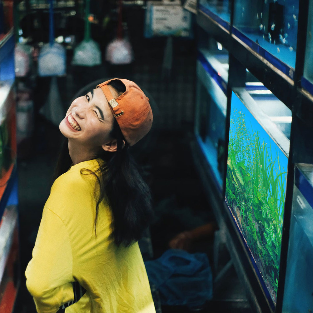 Fish Tank Background Paper Thi - Aquarium Fish Wallpaper review and price