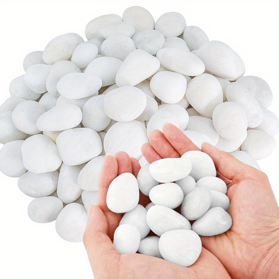 200/400g White High Polished N - Aquarium Fish To Buy review and price