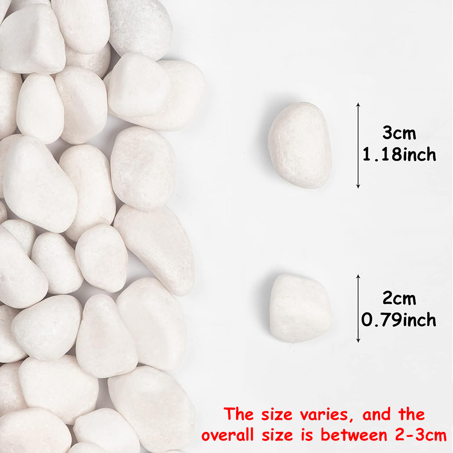 200/400g White High Polished N - Aquarium Fish To Buy review and price