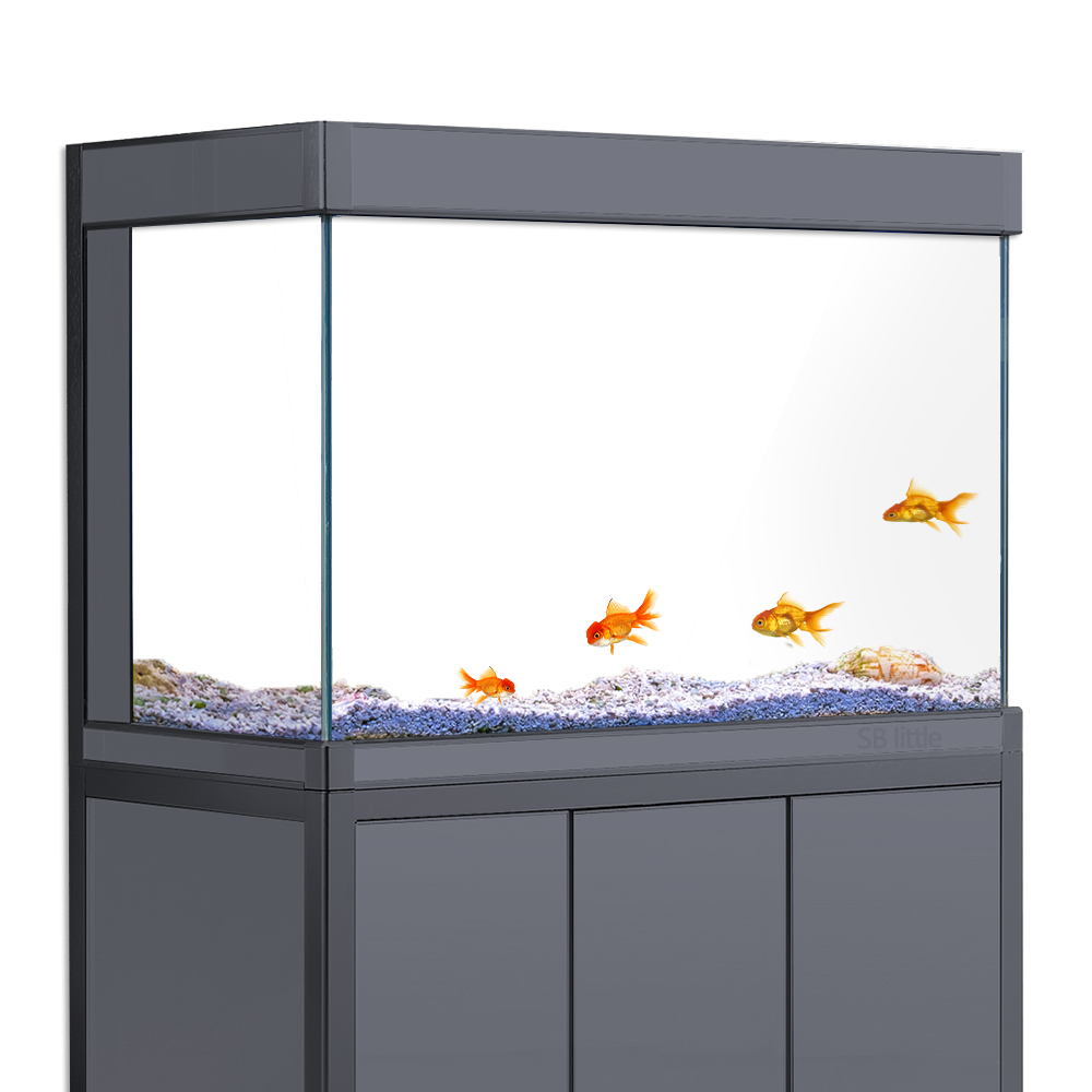 Aquarium Background Static Cli - Aquarium Fish Wallpaper review and price