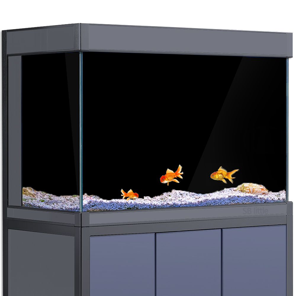 Aquarium Background Static Cli - Aquarium Fish Wallpaper review and price
