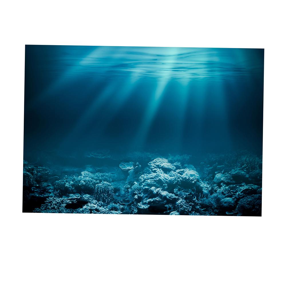 Fish Tank Adhesive Poster PVC  - Fish In Aquarium Picture review and price