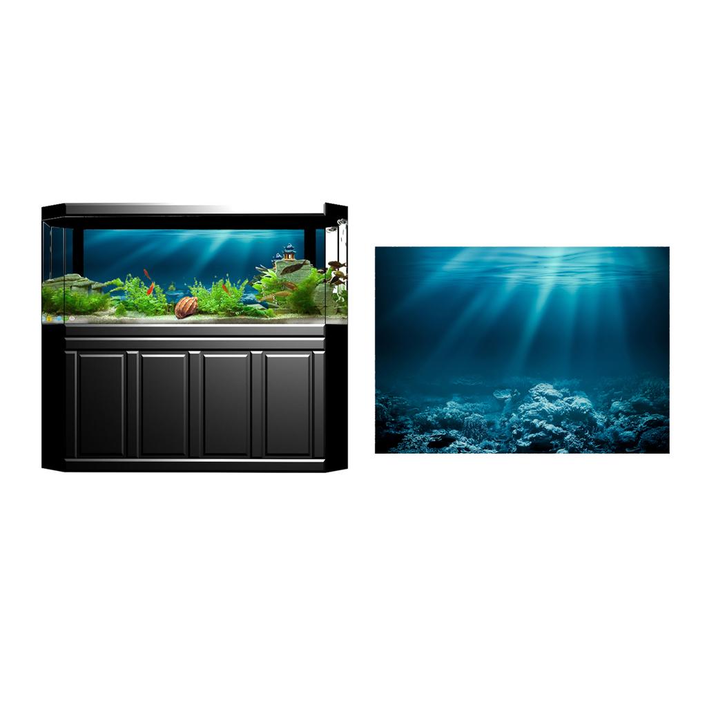 Fish Tank Adhesive Poster PVC  - Fish In Aquarium Picture review and price