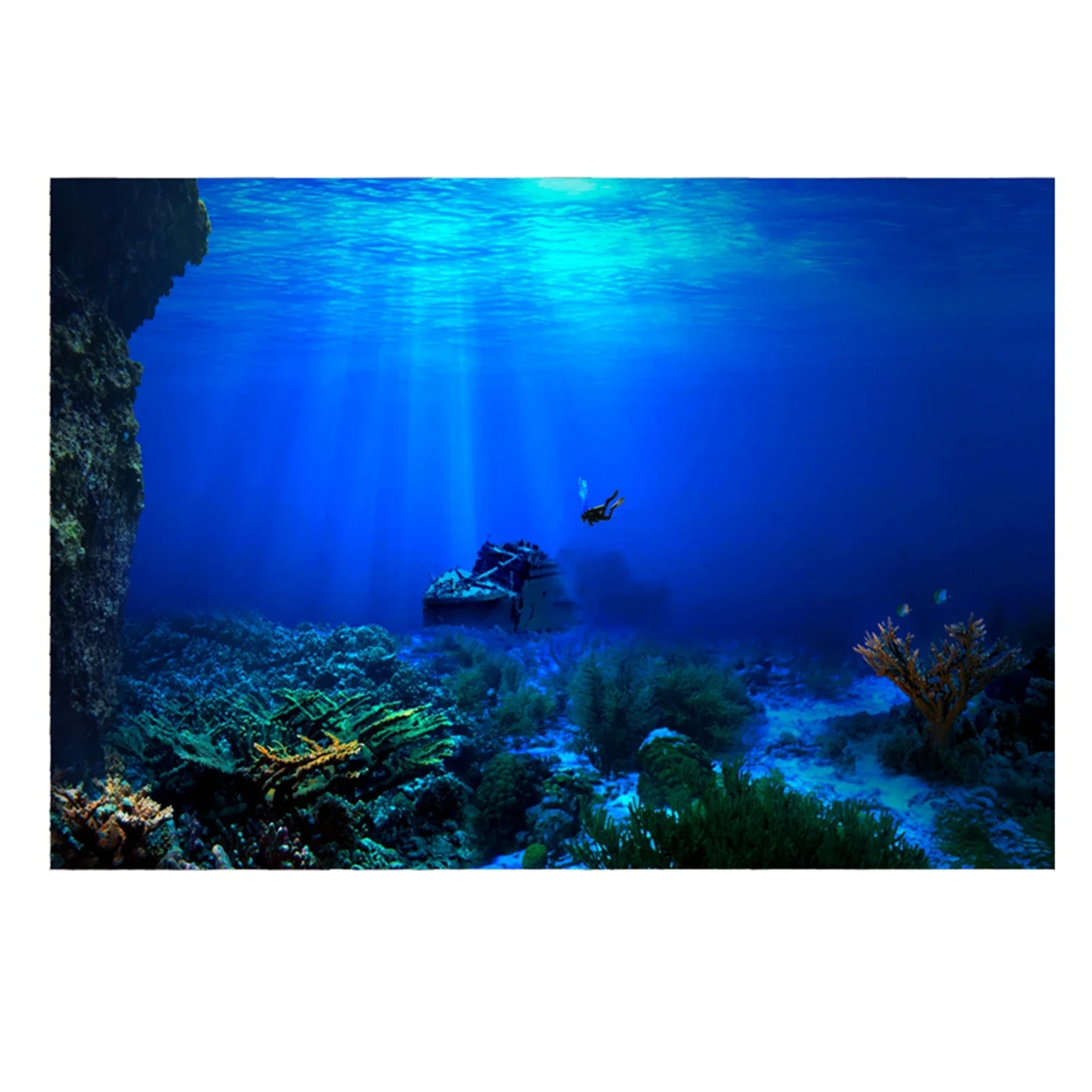 Rainforest Aquarium Background - Fish In Aquarium Picture review and price