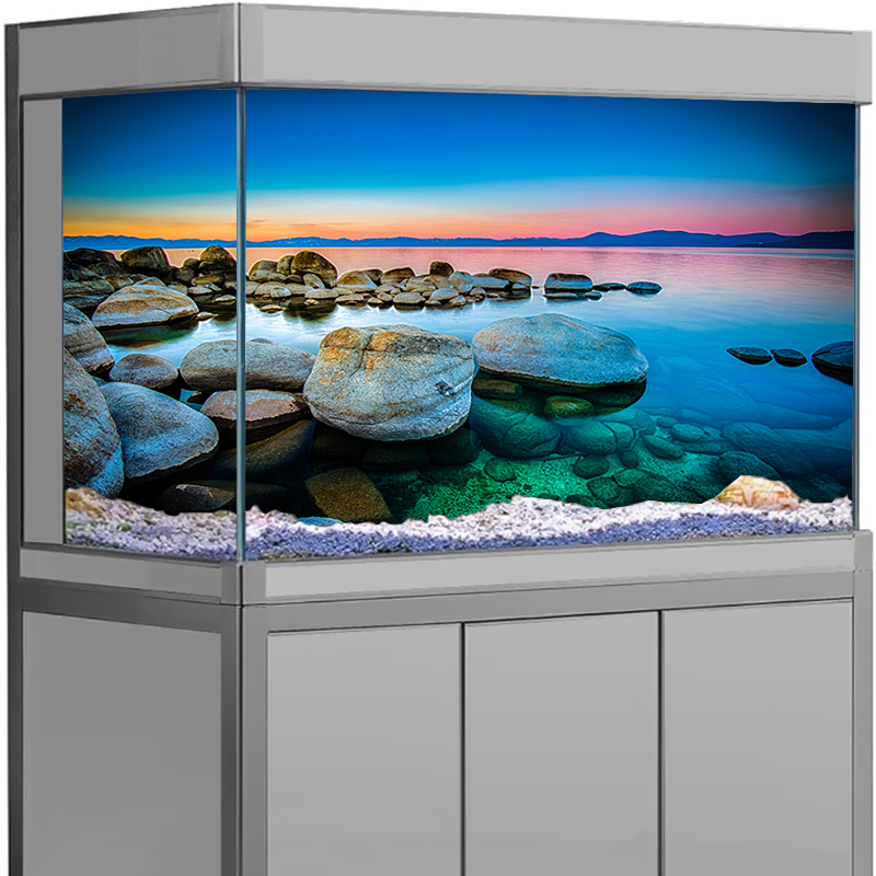 Aquarium Background Sticker St - Aquarium Fish Wallpaper review and price