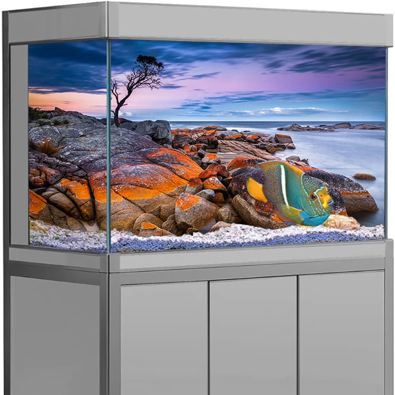 Aquarium Background Sticker St - Aquarium Fish Wallpaper review and price