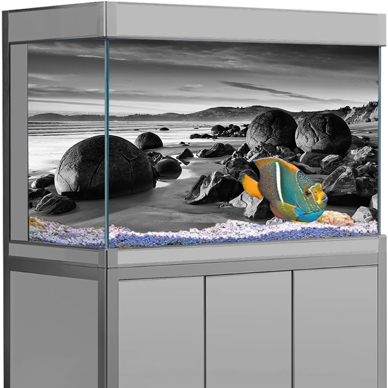 Aquarium Background Sticker St - Aquarium Fish Wallpaper review and price