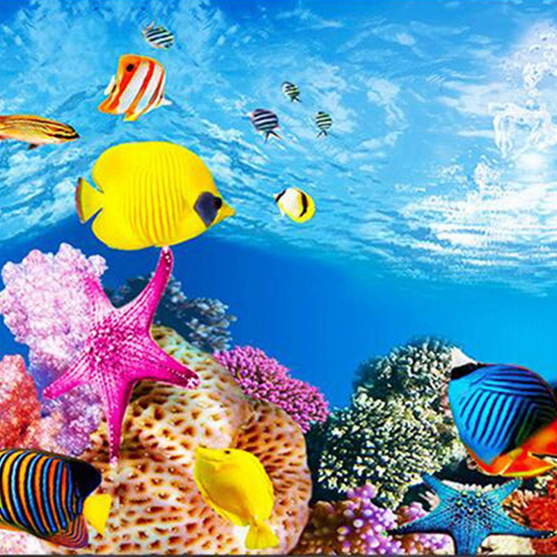 BAAU Aquarium Background Paper - Fish In Aquarium Picture review and price