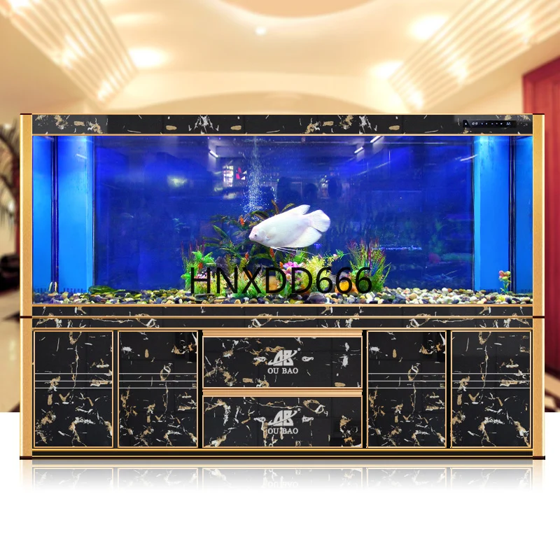 Large golden dragon fish tank  - Aquarium Fish Dragon review and price