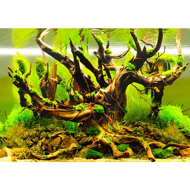 50cm Aquarium Decoration Water - Aquarium Fish Wallpaper review and price