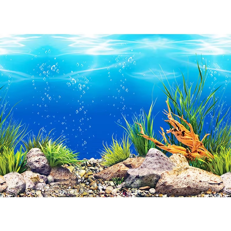 50cm Aquarium Decoration Water - Aquarium Fish Wallpaper review and price