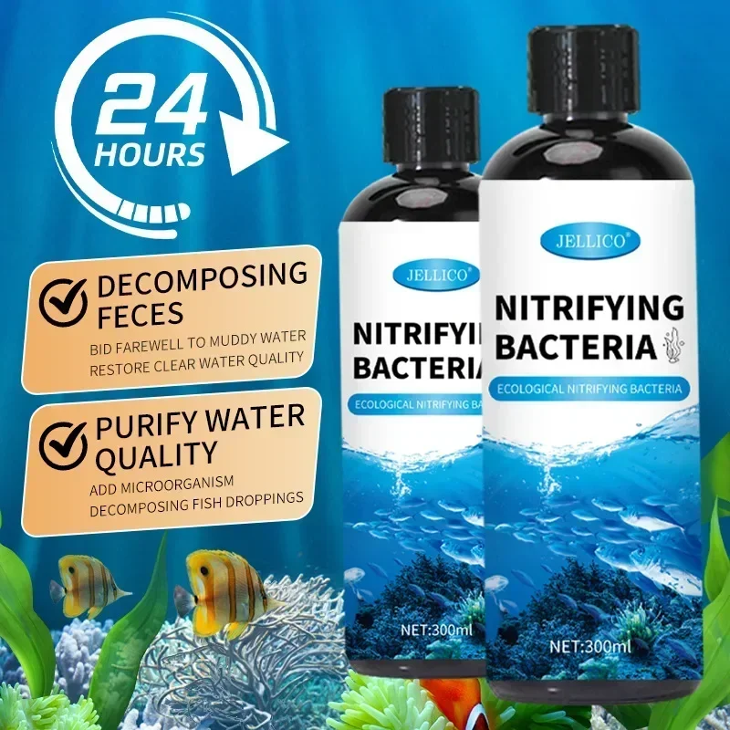 300ml Nitrifying Bacteria Liqu - Aquarium Fish And Supplies review and price