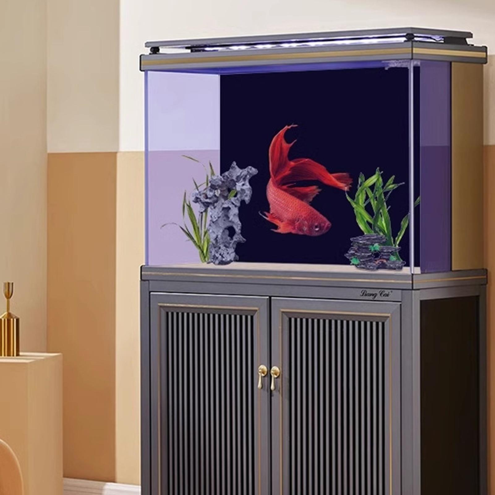 Black Aquarium Background Pict - Fish In Aquarium Picture review and price