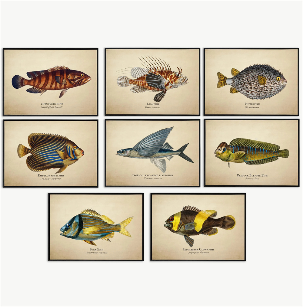 Vintage Pictures Tropical Fish - Fish In Aquarium Picture review and price