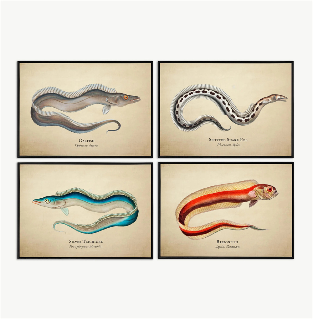 Vintage Pictures Tropical Fish - Fish In Aquarium Picture review and price