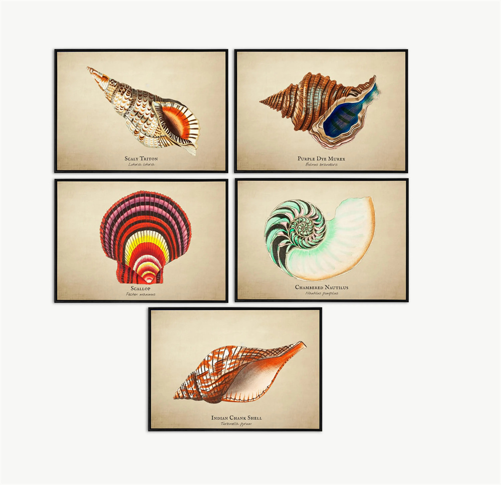 Vintage Pictures Tropical Fish - Fish In Aquarium Picture review and price