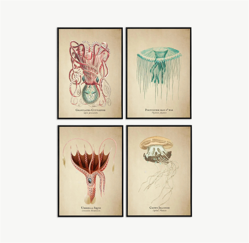 Vintage Pictures Tropical Fish - Fish In Aquarium Picture review and price