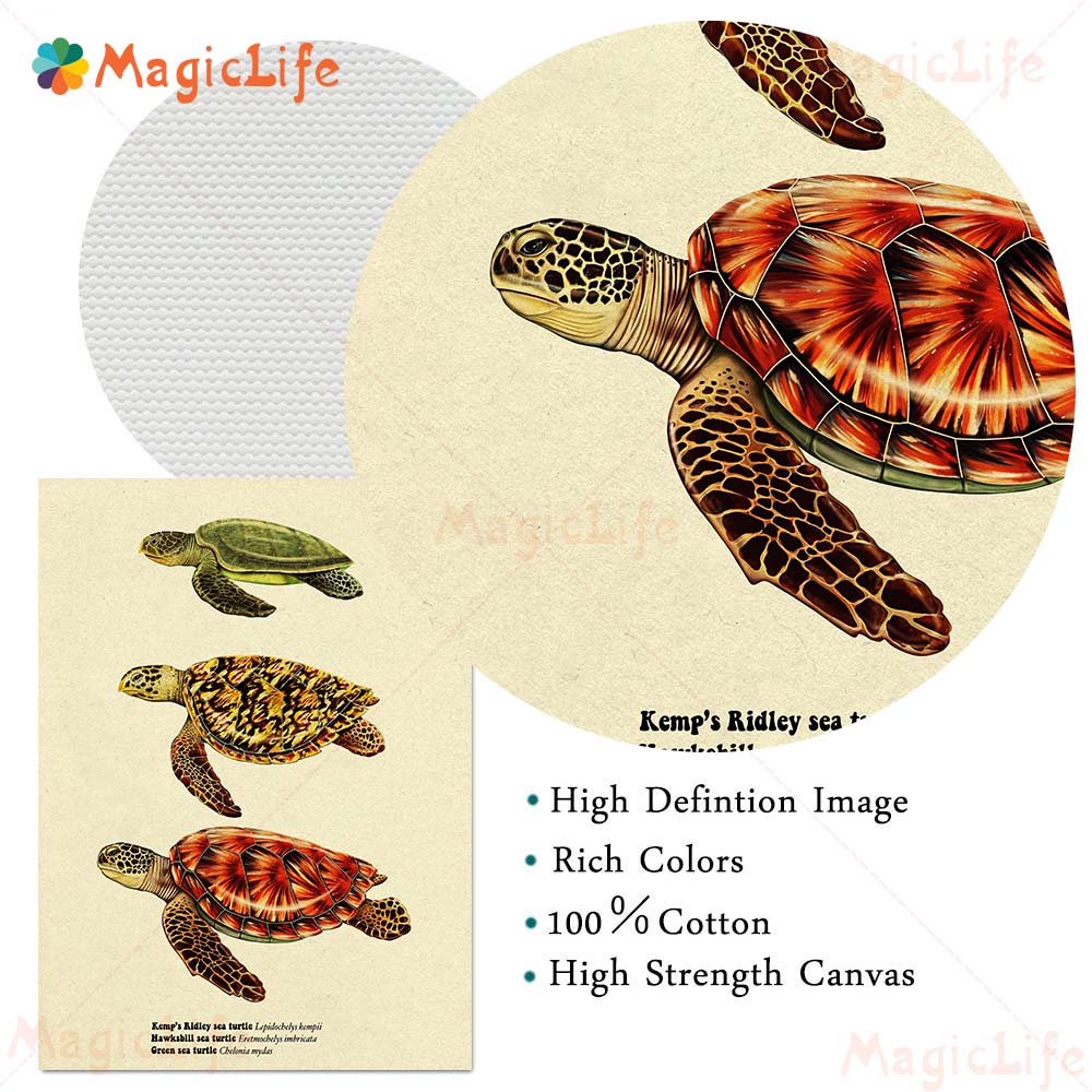 Vintage Sea Fish Tortoise Shar - Fish In Aquarium Picture review and price